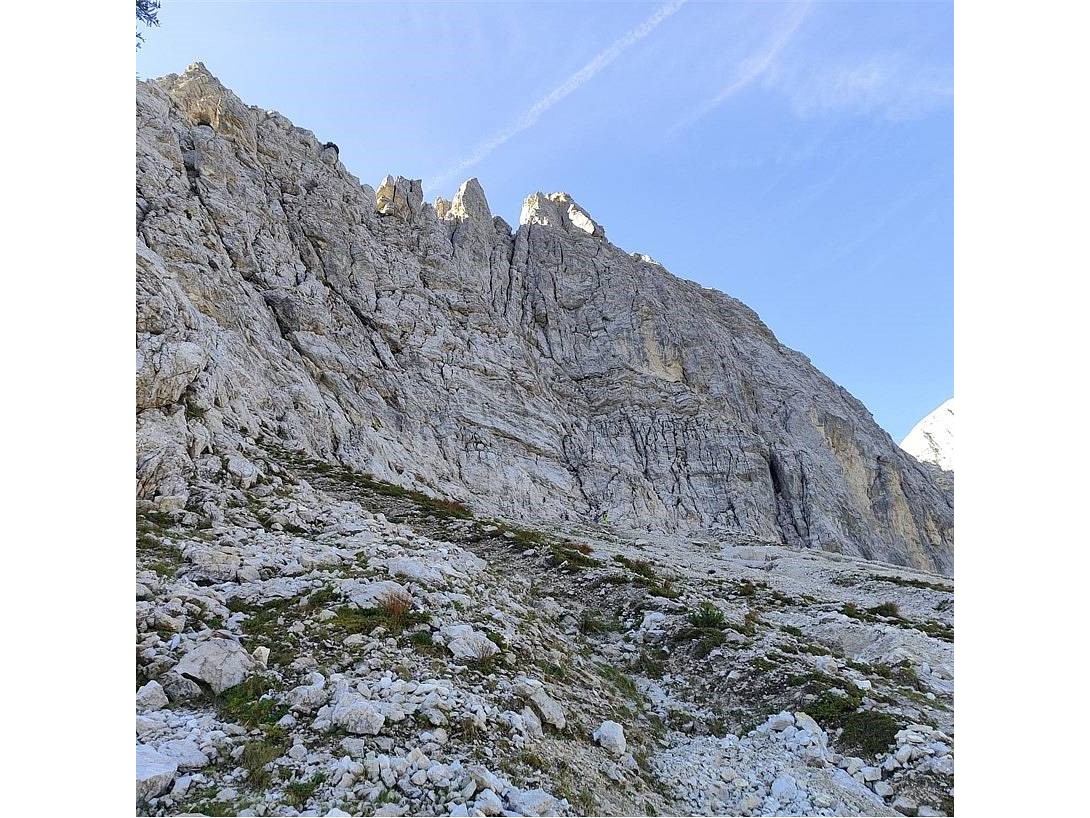 Stopnice vhodne zavite in ovalne
